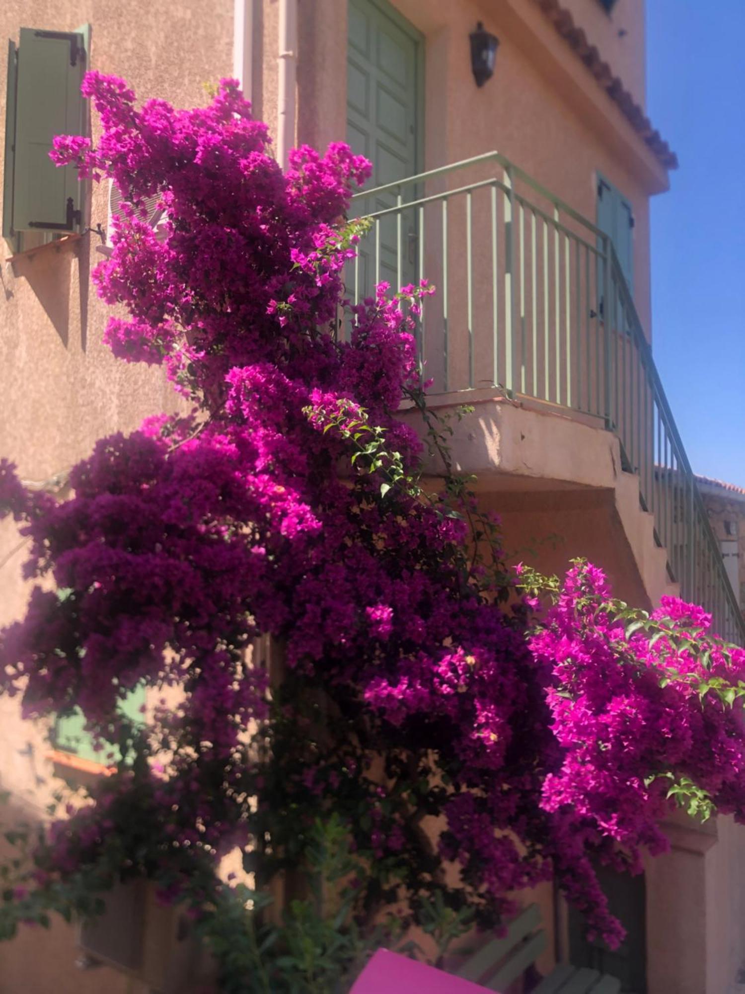 Piana - Vue Et Village Apartment Piana (Corsica)