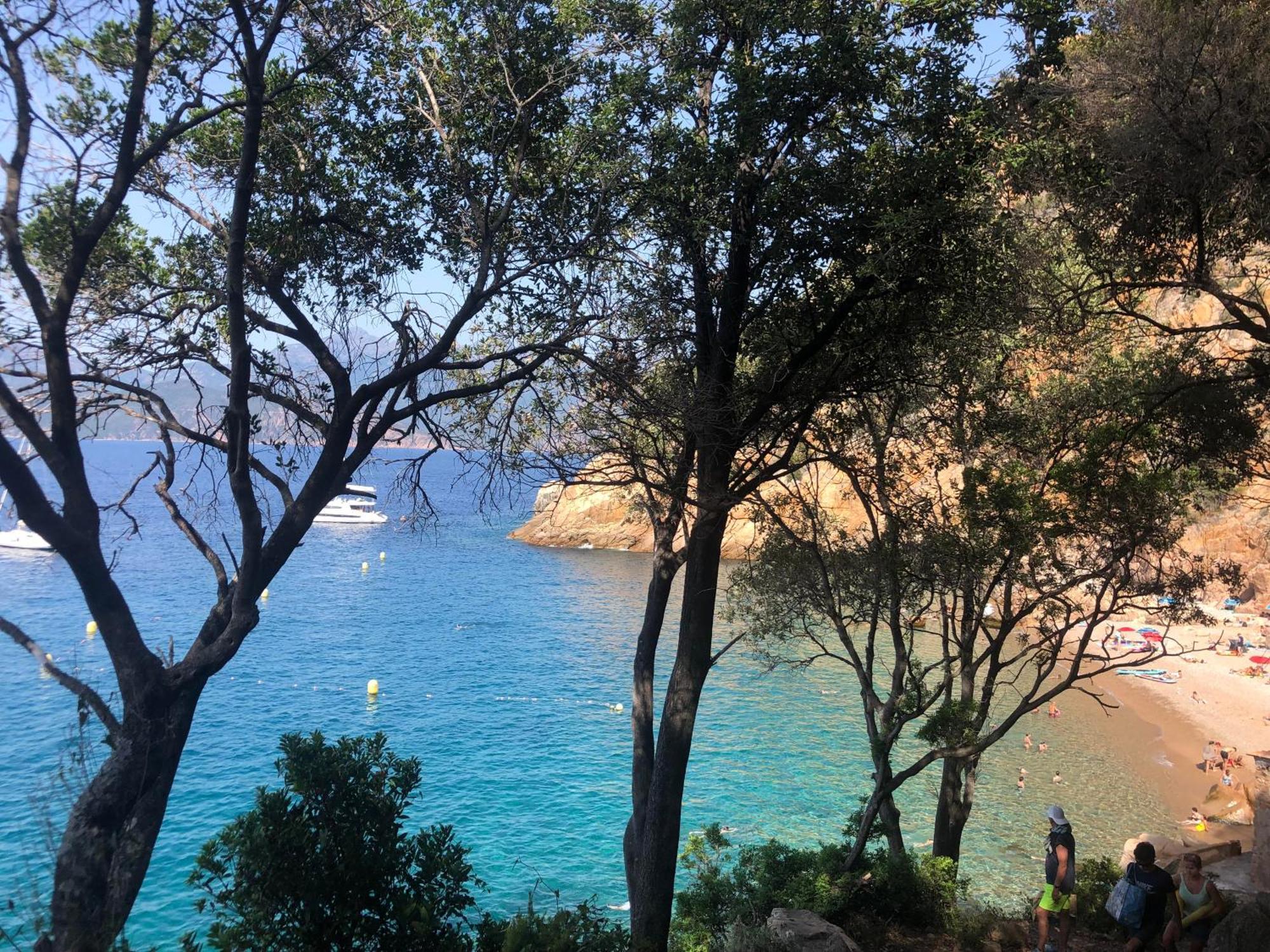 Piana - Vue Et Village * Piana (Corsica)
